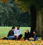 Group discussion on lawn