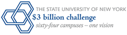 $3 Billion challenge