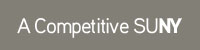 A Competitive SUNY