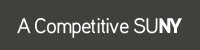 A Competitive SUNY