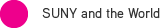 SUNY and the World