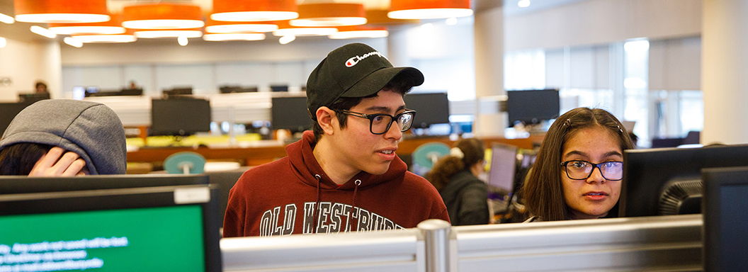 Old Westbury students at computer in library