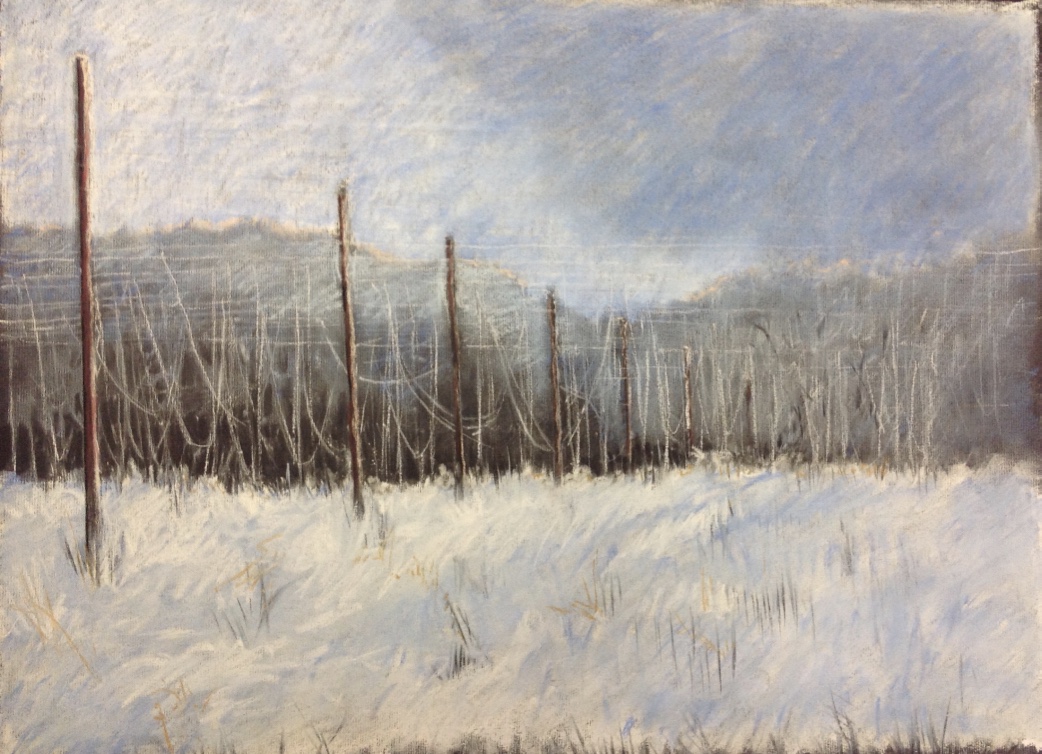 Rhonda Engel - Hops in Winter