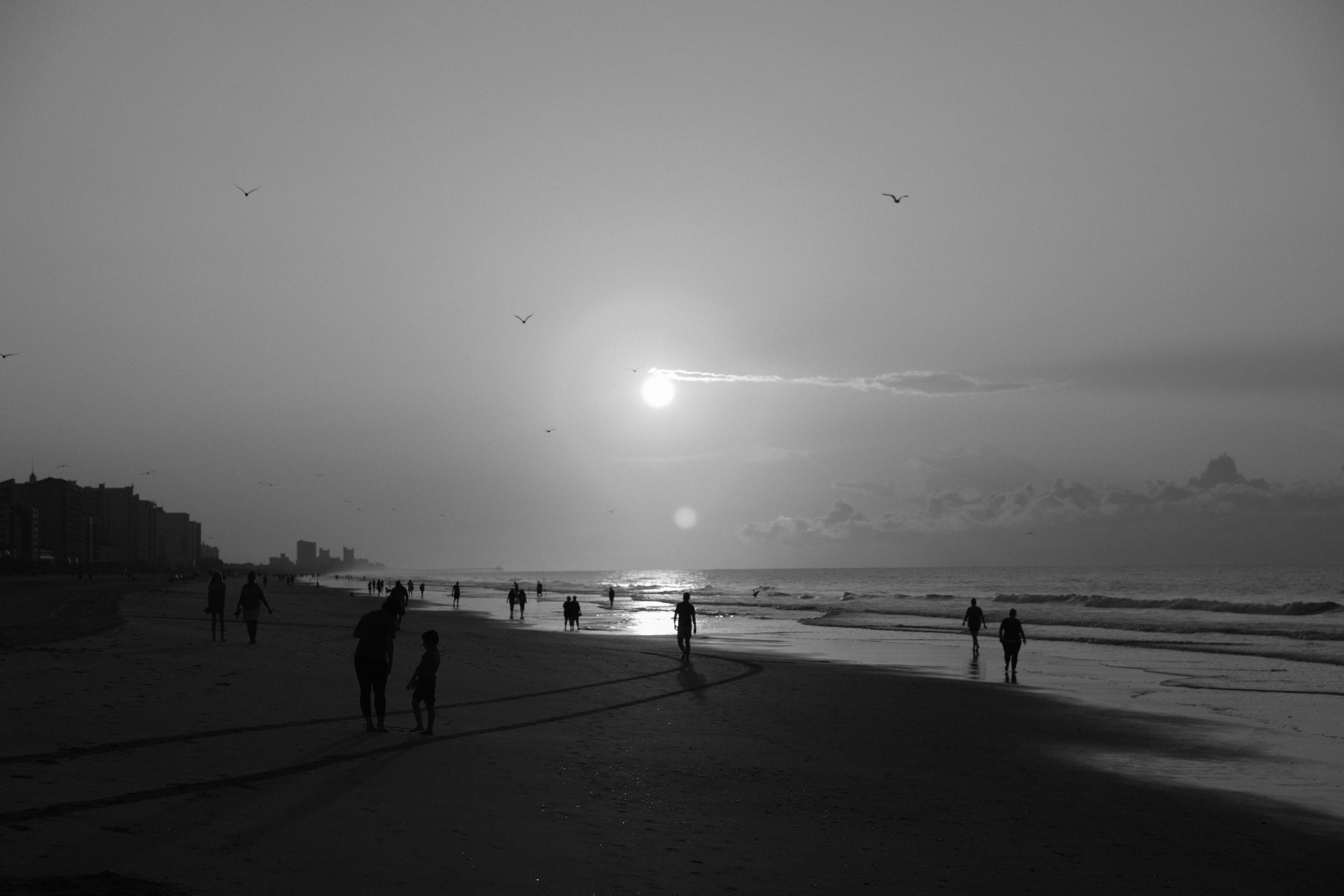 Daniel Sneeden - Sunrise