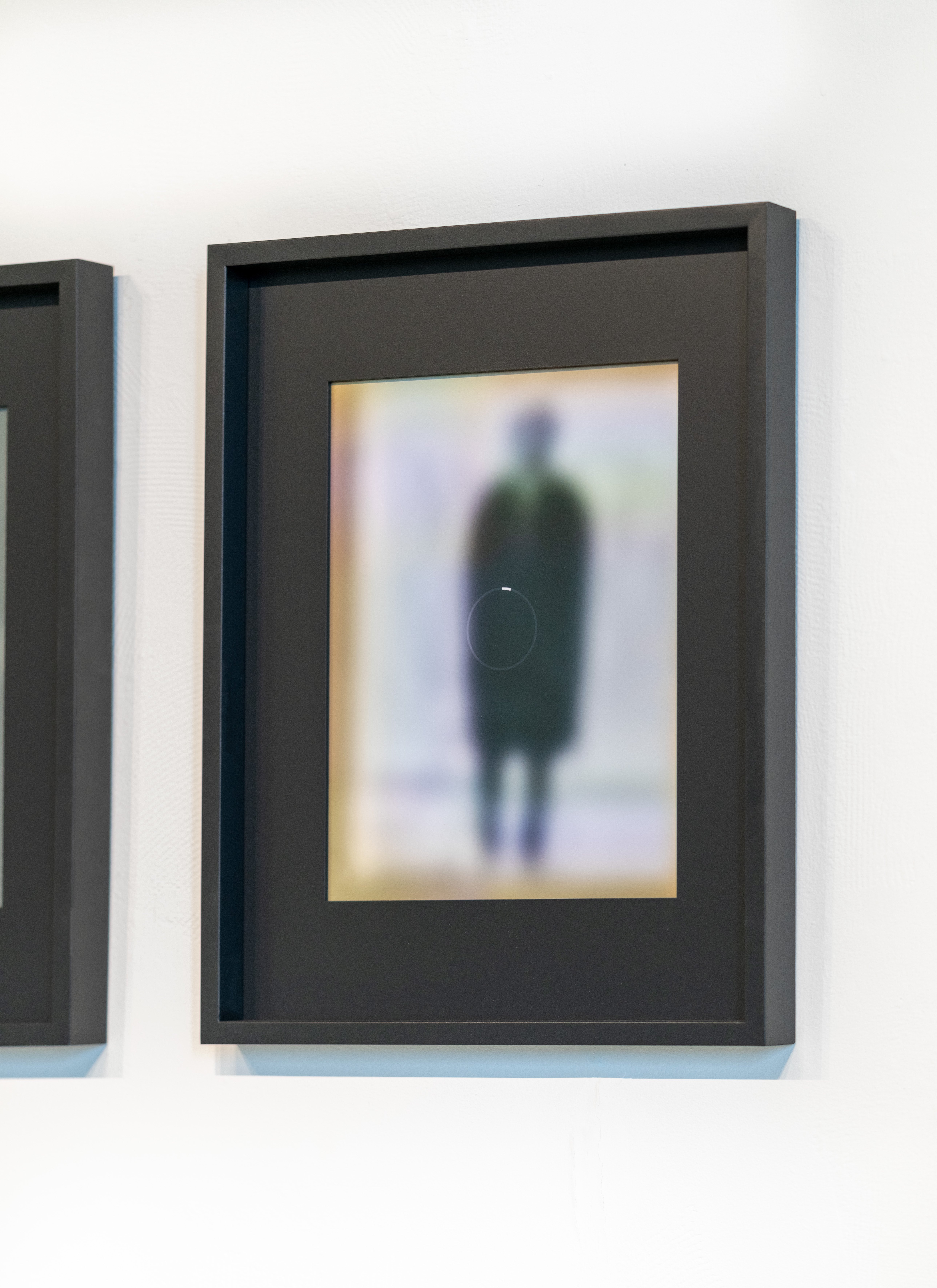 Tara Holmes - Terms of Use | NO. 24