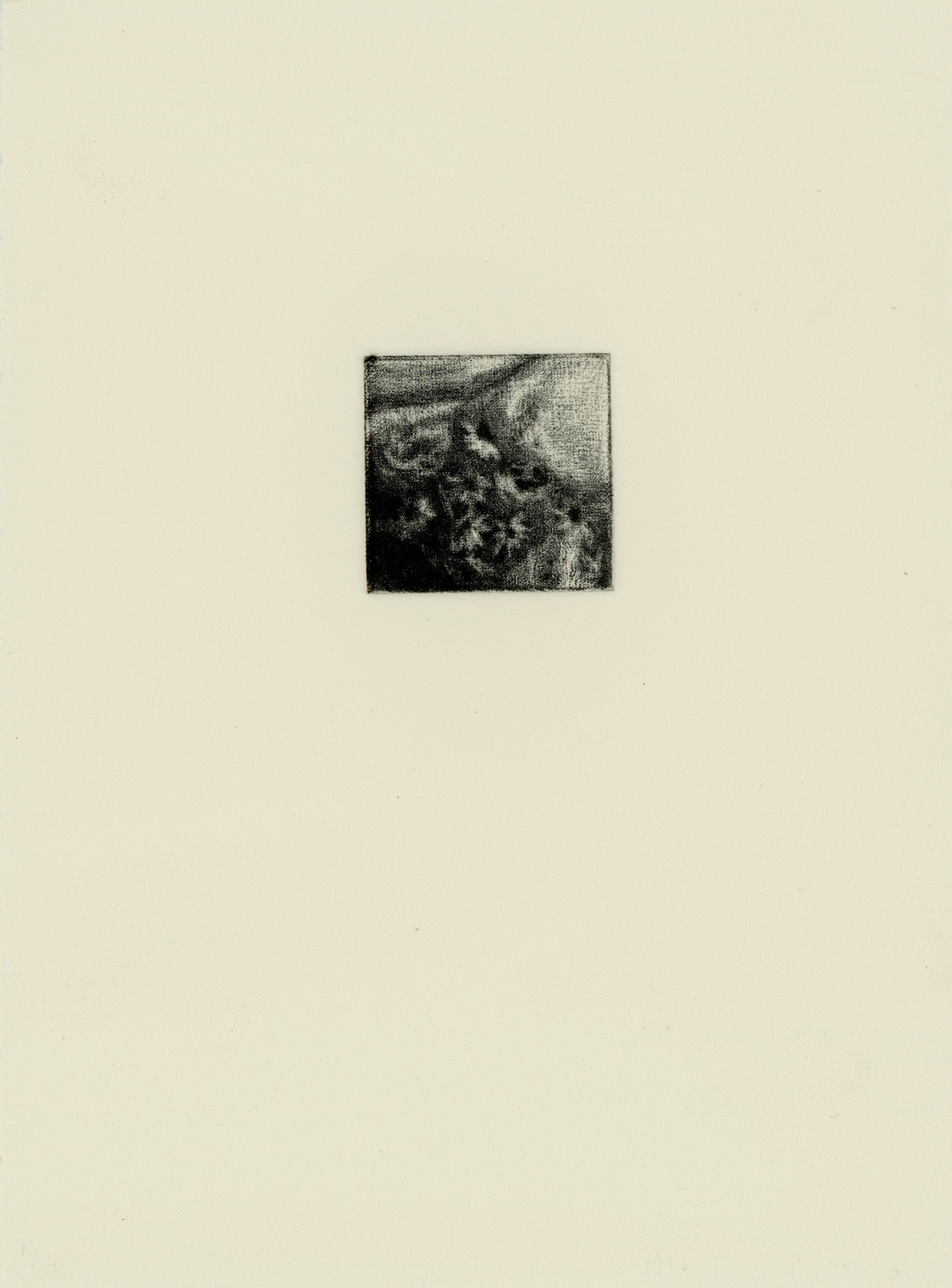 Ally DeRusso - a pause, a freeze frame