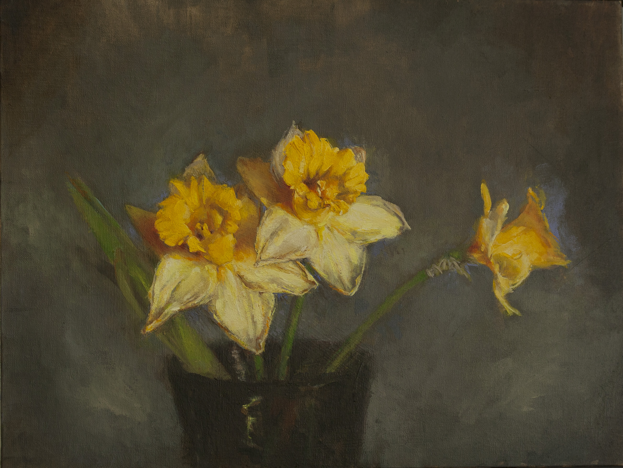 David Zeggert - Daffodils