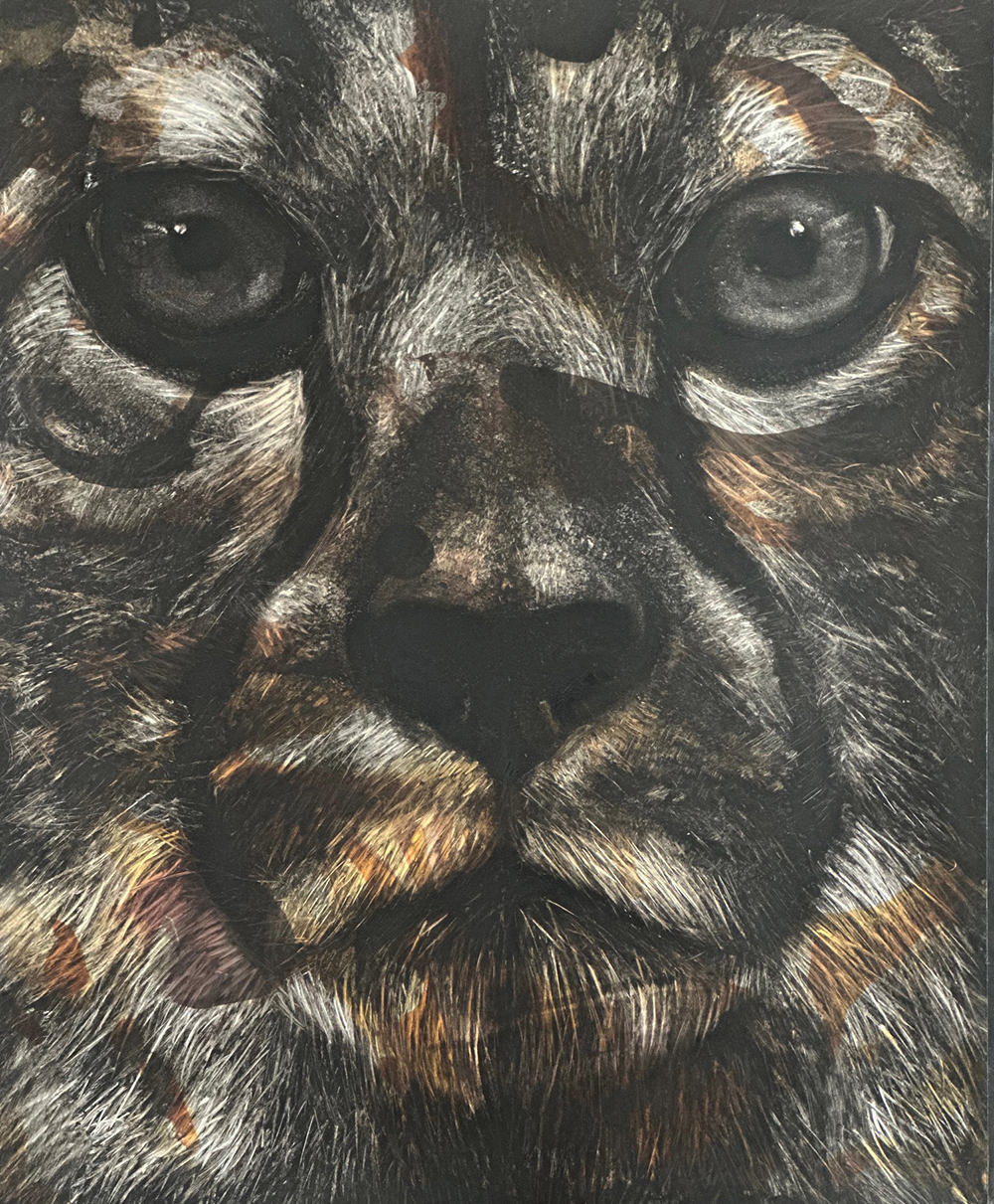 Juan Perdiguero - Dark_Face_6