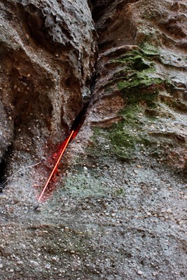 Chloe Kottwitz - Terrain