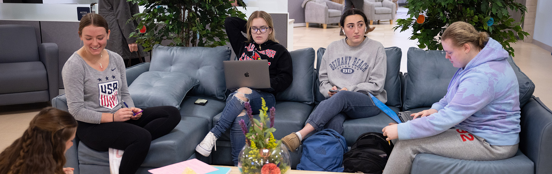 plattsburgh female students studying