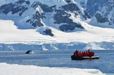 Students on a raft boat in the water in Antarctica see w whale in the water.