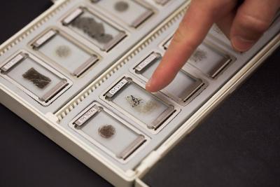 Samples of actual moon rocks sit in a container as provided by NASA.