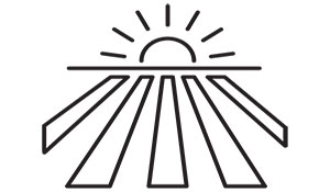 Vector icon of a sunset over a field.