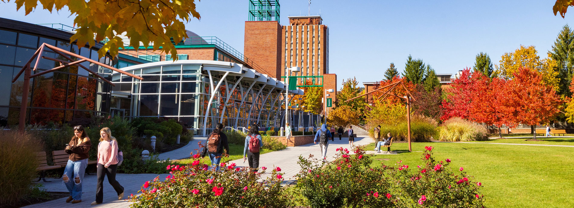 Your Future in NY - SUNY