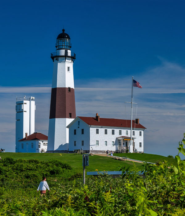 Lighthouse with blue sky behind it and beach greenery vegetation in the foreground
