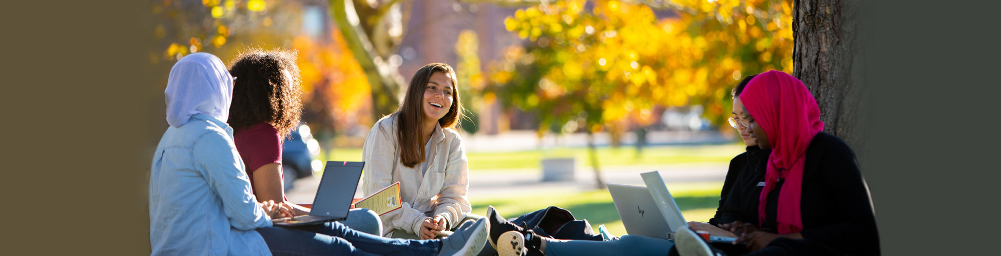 Students sit on the grass under trees full of leaves in autumn colors.