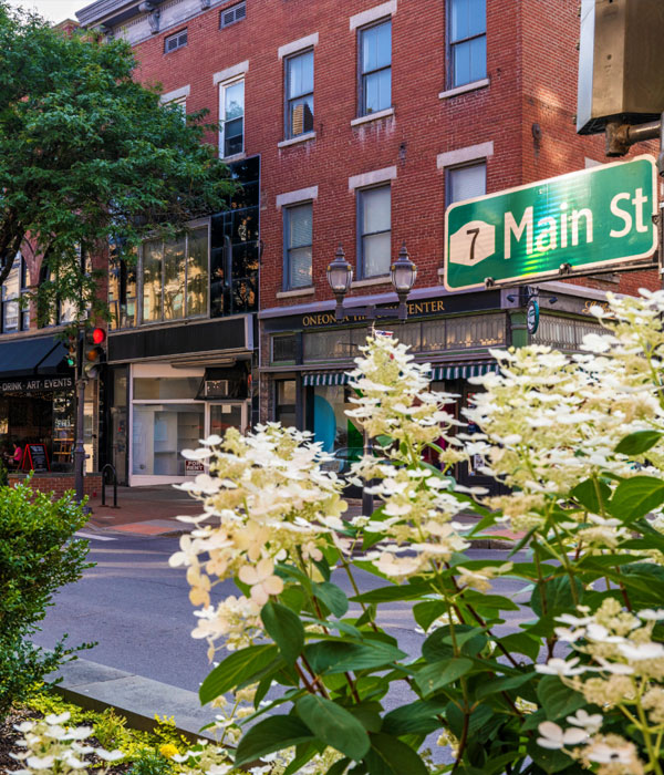 Oneonta village street with Main St road sign in front of a brick commercial building
