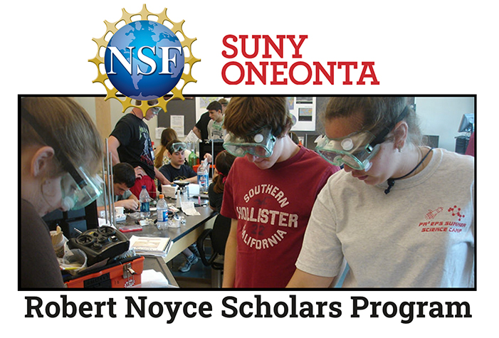 Robert Noyce Scholars Program