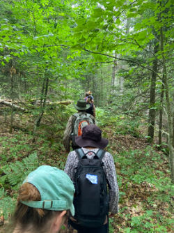 Raquette Lake - hike in the woods