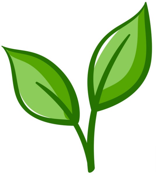 native garden plant icon