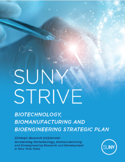 Front page of the Biotechnology  Biomanufacturing and Bioengineering Strategic plan with an image of a hand taking a sample of liquid in a medical lab medical symbol floating around it.