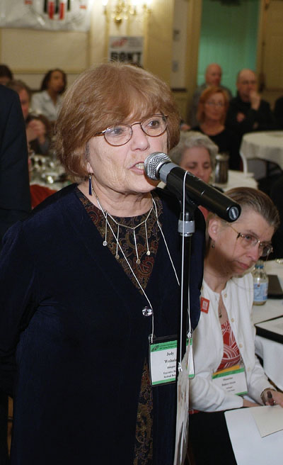 Advisory Council member Judy Wishnia speaking at a meeting