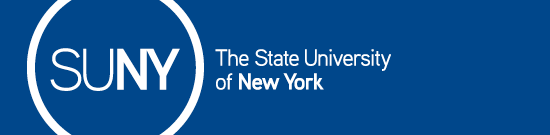 Generic SUNY Logo Header - White on blue