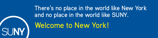 Welcome to New York 1