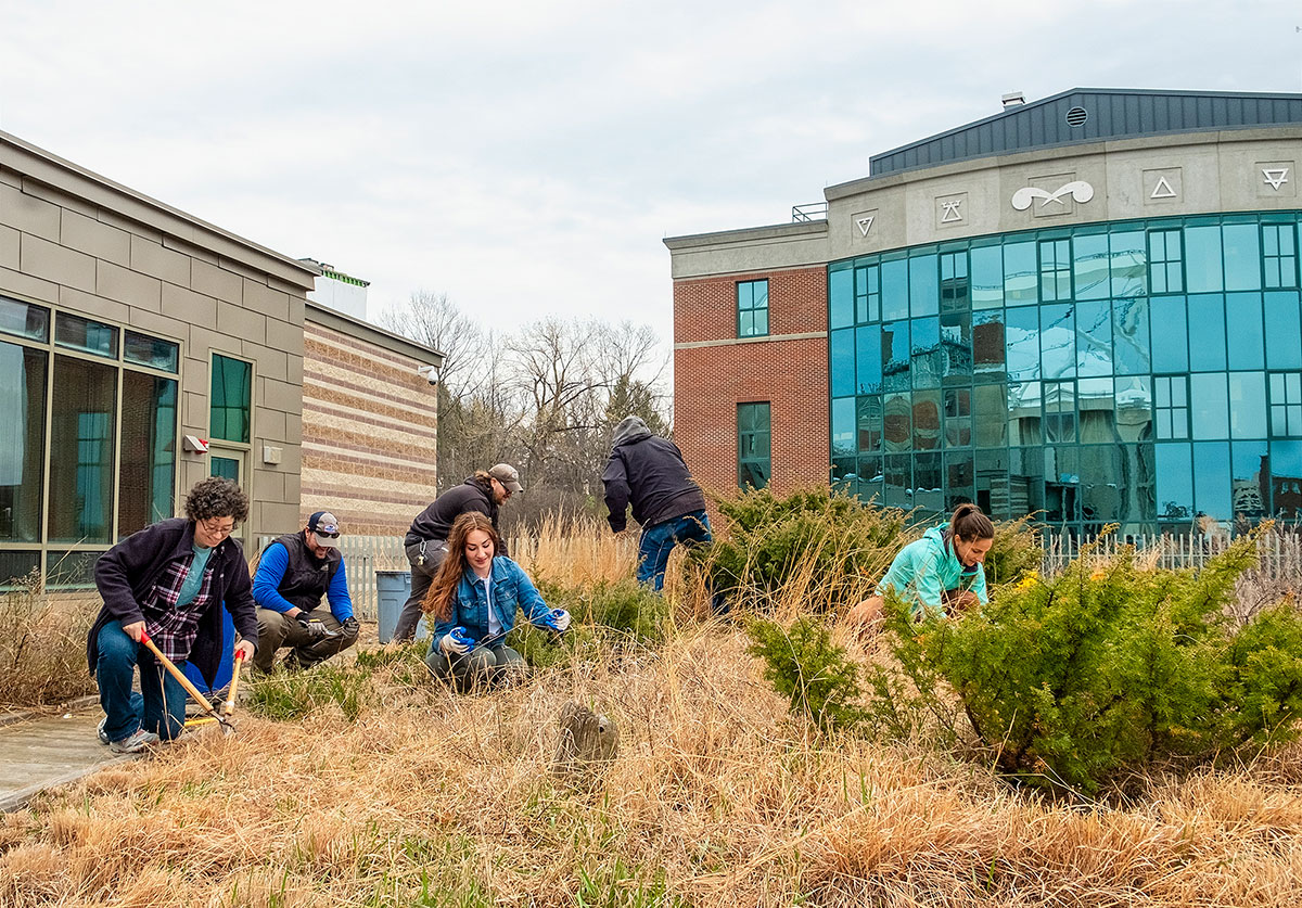 Students clean debris from the green roof installation at SUNY ESF.