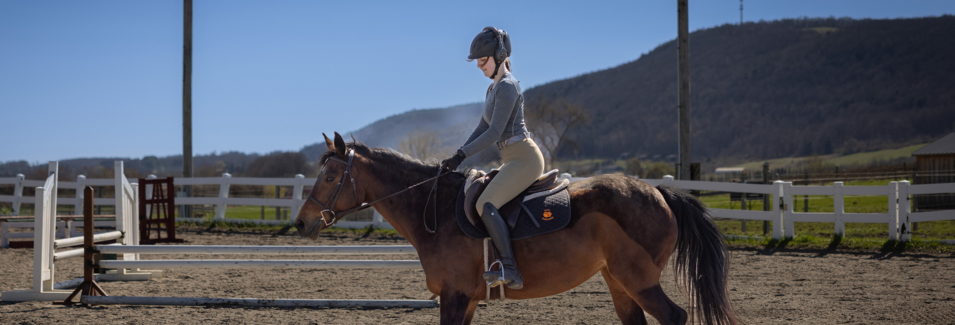 culture club slider1 - horseback riding