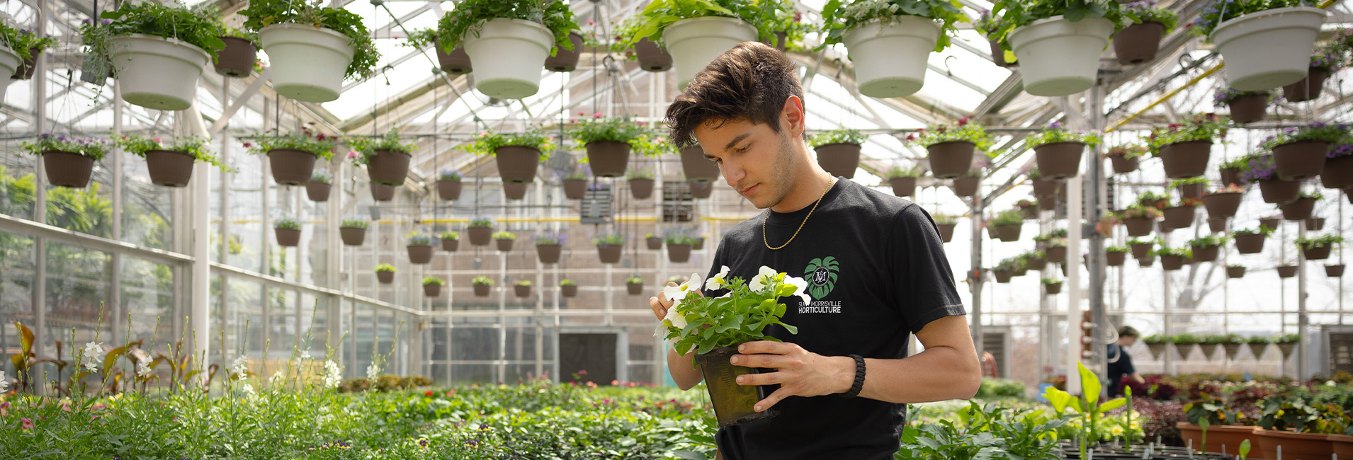 culture club slider8 - horticulture